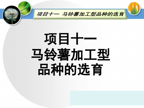 马铃薯加工型品种的选育