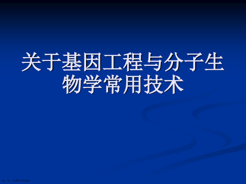 基因工程与分子生物学常用技术课件