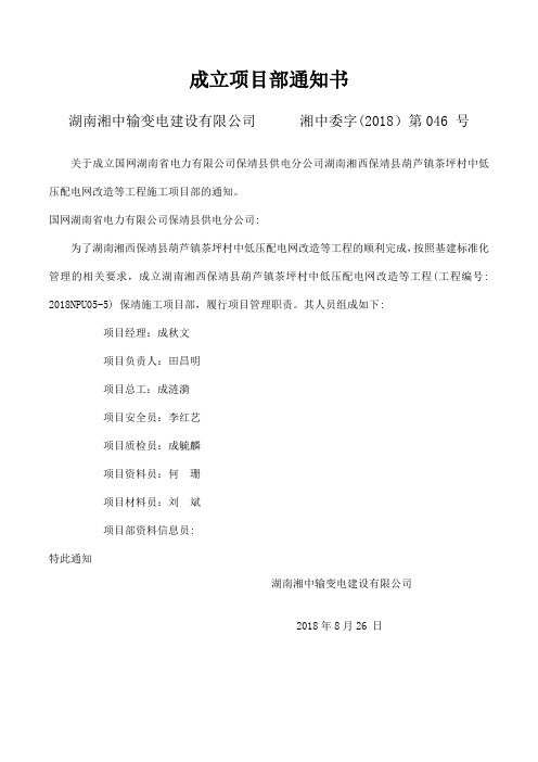 项目部成立通知