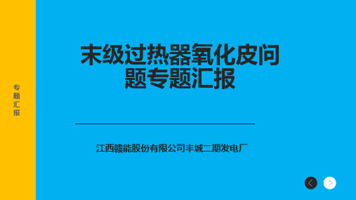末级过热器氧化皮问题专题汇报