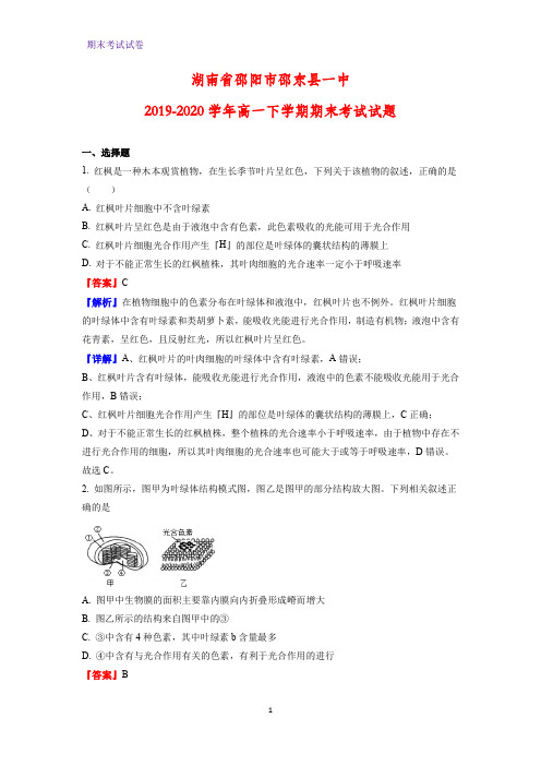 2019-2020学年湖南省邵阳市邵东县一中高一下学期期末考试生物试题(解析版)