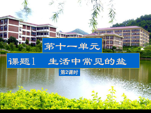 人教版化学九年级下册11.1生活中常见的盐2 课件(共28张PPT)