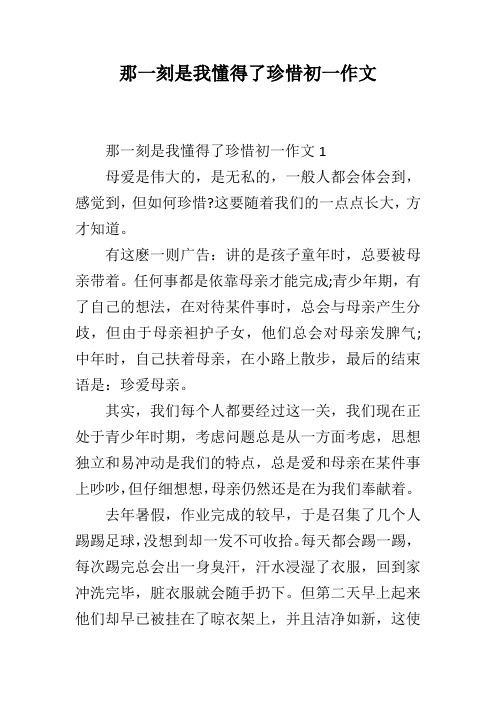 那一刻是我懂得了珍惜初一作文