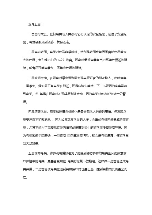 观鸟五忌