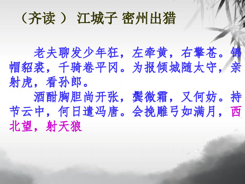 统编版高中语文必修上册《念奴娇·赤壁怀古》PPT全文课件(38张)