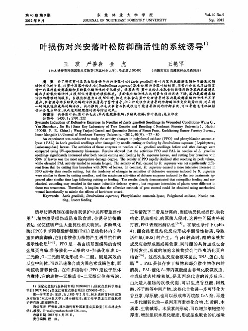 叶损伤对兴安落叶松防御酶活性的系统诱导