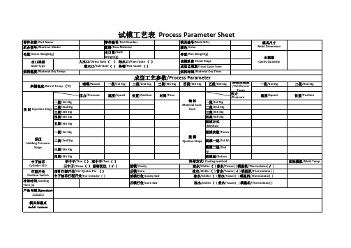 试模报告