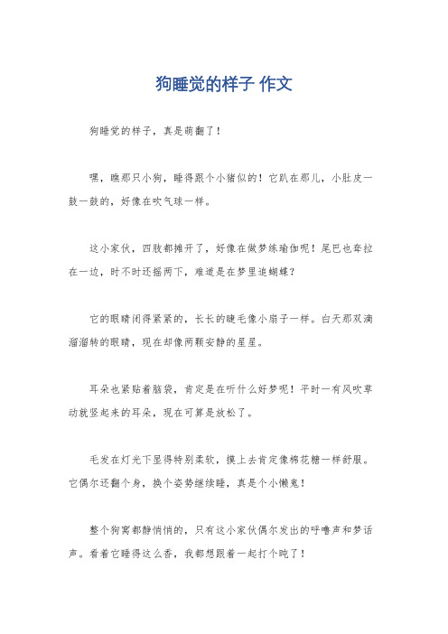 狗睡觉的样子 作文