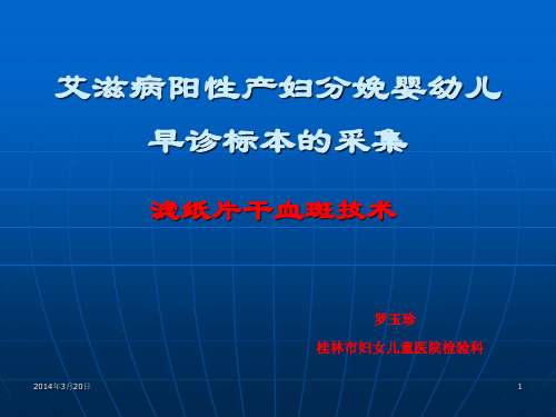 滤纸片干血斑技术.概要