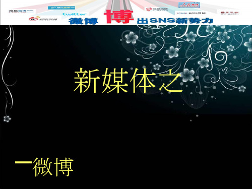 微博简介ppt