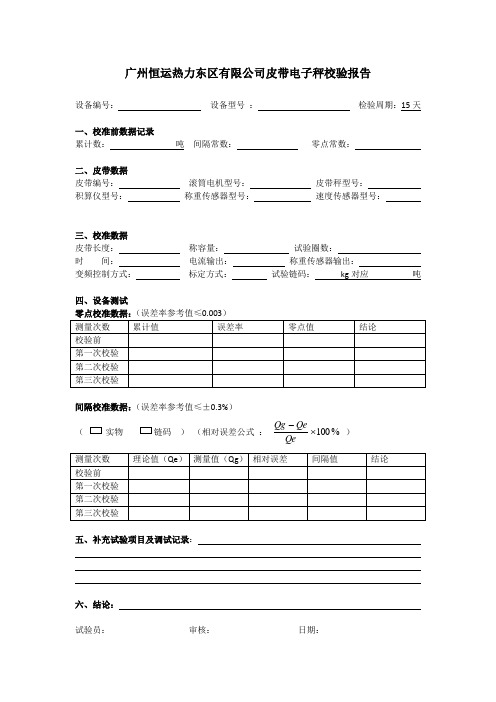 皮带电子秤校验报告