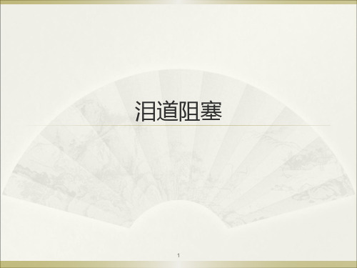 泪道阻塞ppt课件