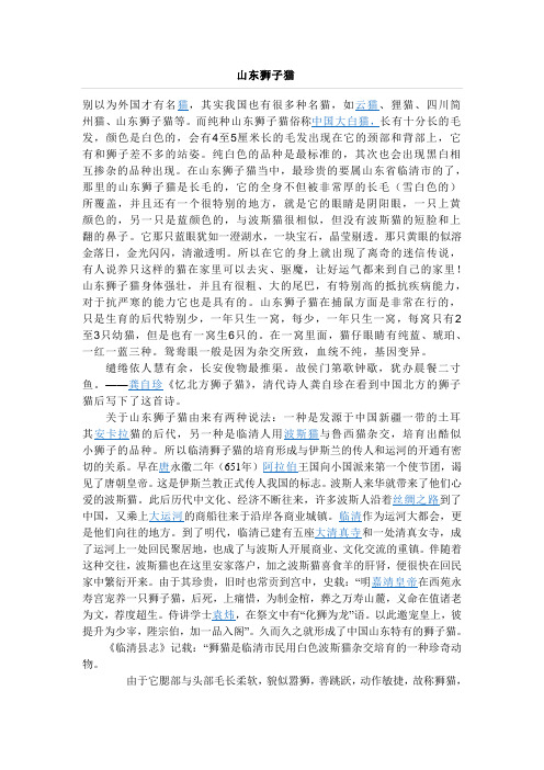 山东狮子猫