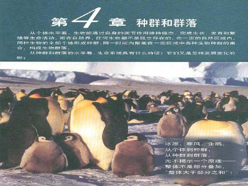群落的结构ppt27