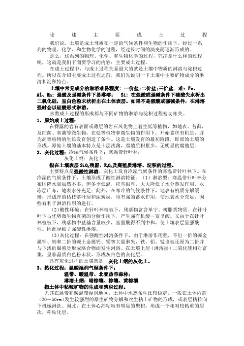 主要成土过程