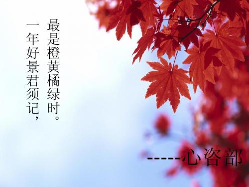团学联会议之心理咨询部门介绍