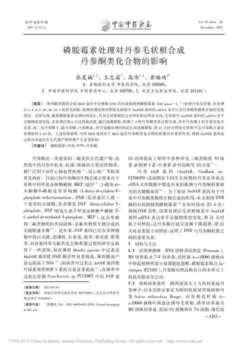 磷胺霉素处理对丹参毛状根合成丹参酮类化合物的影响_张夏楠