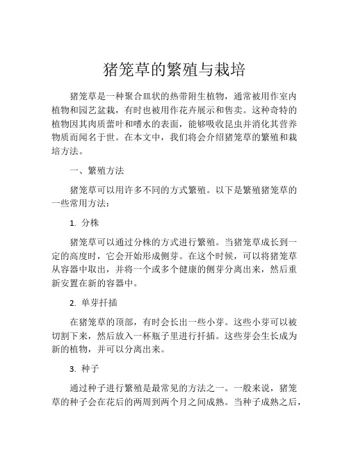 猪笼草的繁殖与栽培