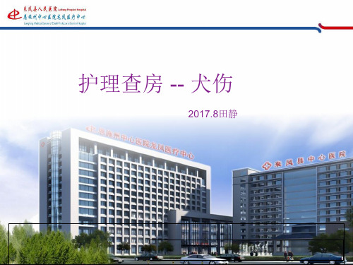 护理查房――犬伤病人PPT课件