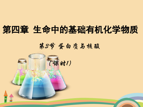 高二化学蛋白质与核酸PPT优秀课件