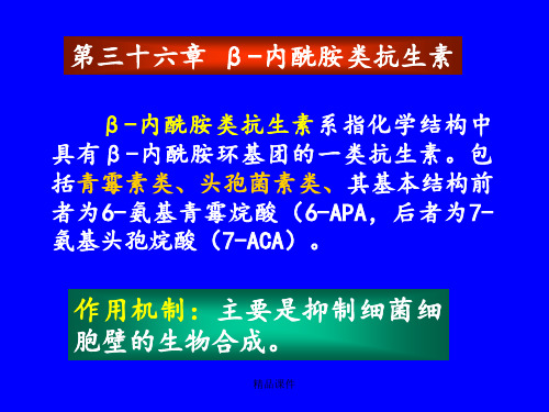 药理学第三十六章 β-内酰胺类抗生素