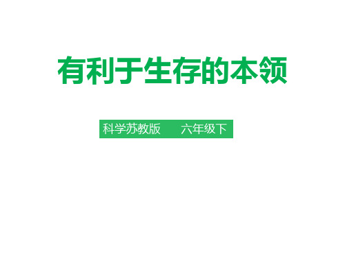 六年级下册科学课件-4.2有利于生存的本领 苏教版(共24张PPT)