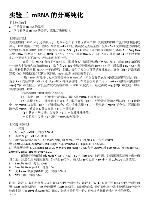 实验三 mRNA的分离纯化