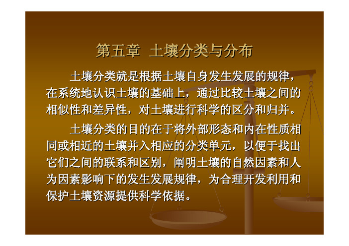 5 土壤分类与分布