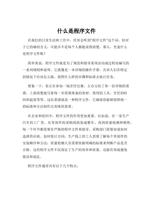 什么是程序文件