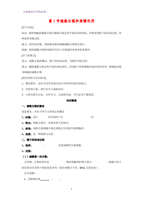 高中生物必修2学案1：2.1减数分裂和受精作用