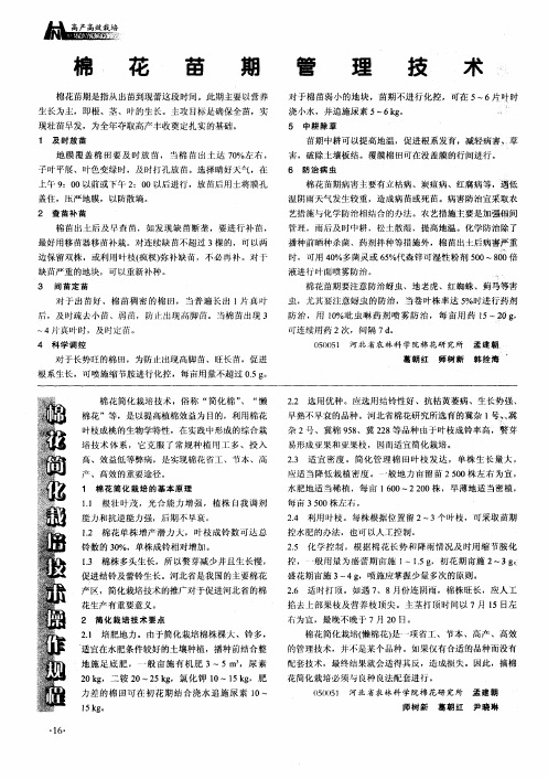 棉花苗期管理技术