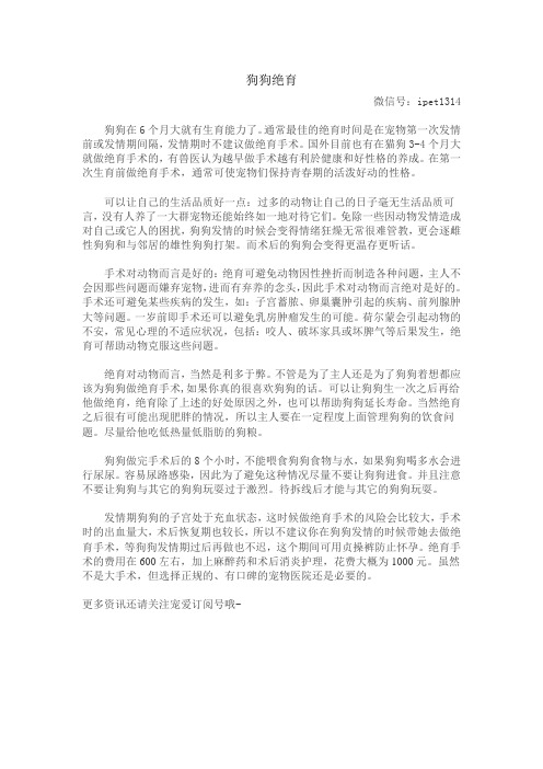 狗狗绝育
