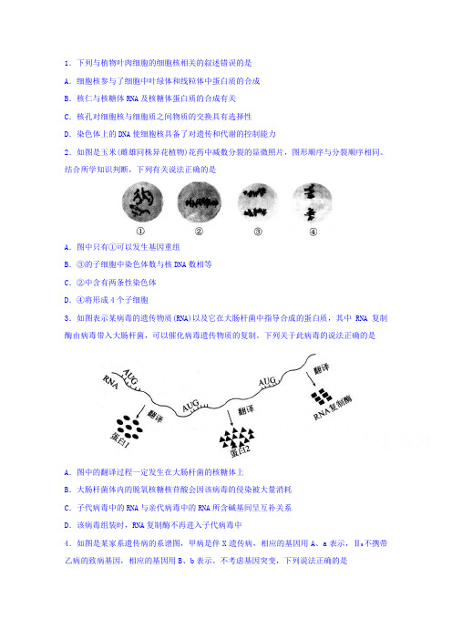 【高考模拟】普通高等学校2018届高三招生全国统一考试模拟(五)理科综合生物试题Word版含答案