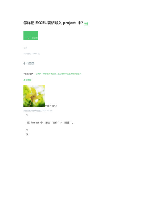 怎样把EXCEL表格导入project 中