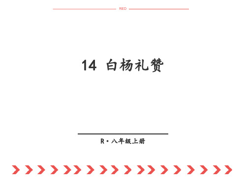 八年级部编版上册语文课件——14 白杨礼赞