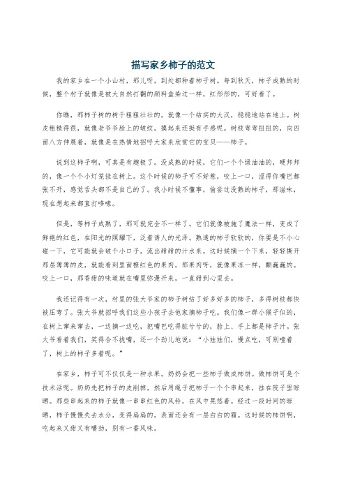 描写家乡柿子的范文