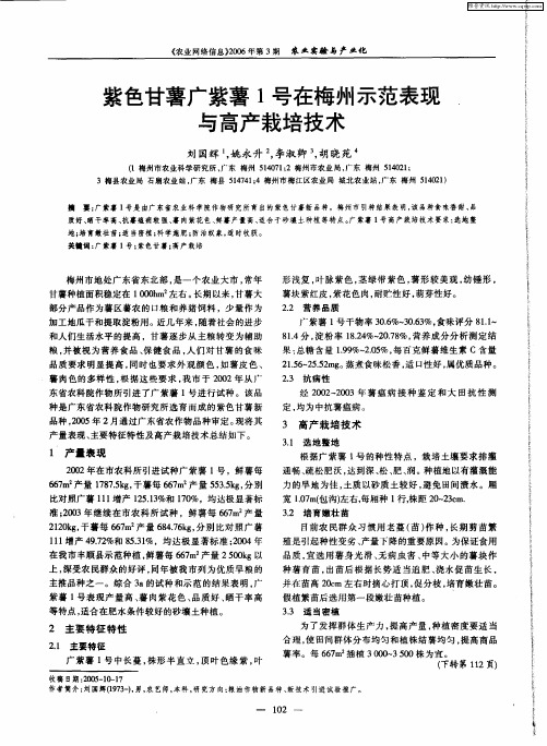 紫色甘薯广紫薯1号在梅州示范表现与高产栽培技术