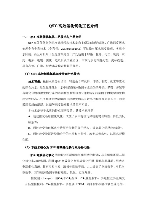 QSY-高效催化氧化工艺介绍