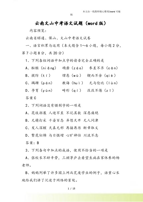 云南文山中考语文试题(word)