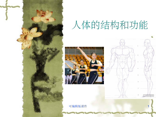 人体结构与生理功能PPT课件