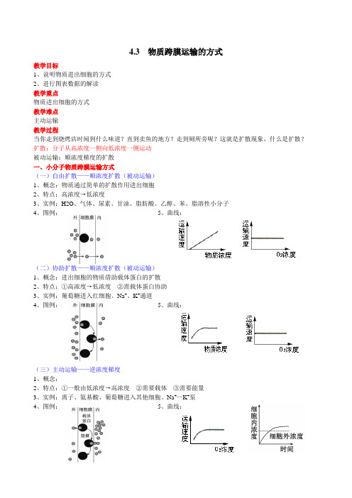 4.3物质跨膜运输的方式