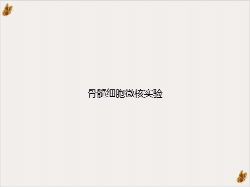 骨髓细胞微核实验ppt课件
