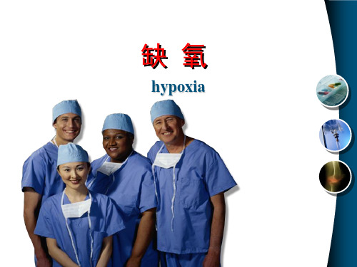 《呼吸系统教学资料》缺氧2016-10-25-文档资料