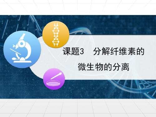 人教版高中生物选修1-2.3《分解纤维素的微生物的分离》优教课件