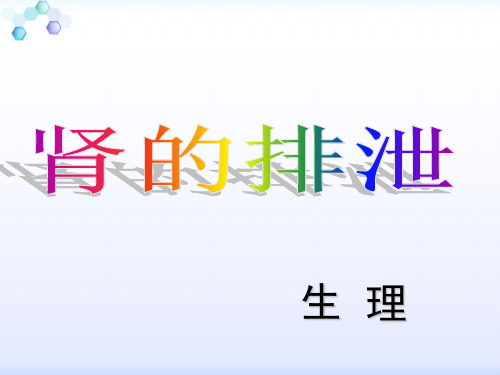 生理泌尿系统 ppt课件
