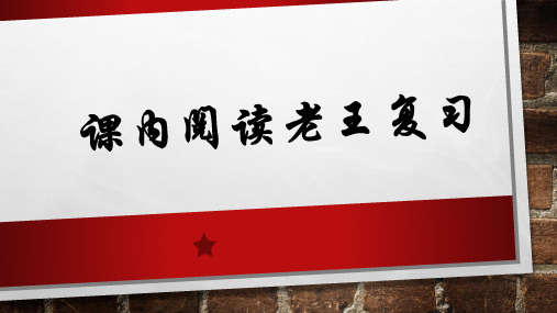 老王 中考阅读重点复习