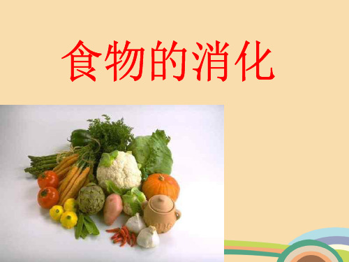 九年级科学浙教版食物的消化和吸收PPT优秀课件