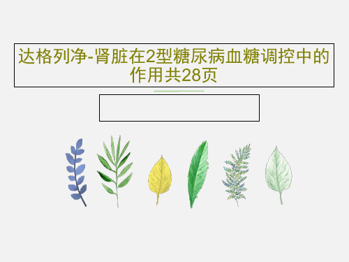 达格列净-肾脏在2型糖尿病血糖调控中的作用共28页30页PPT