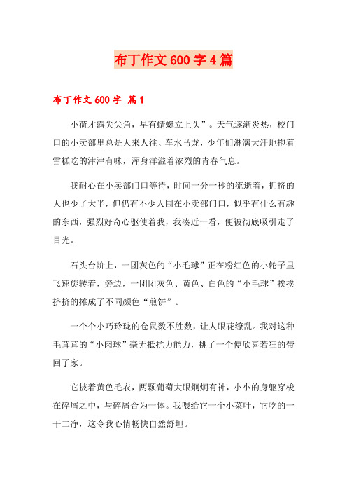 布丁作文600字4篇