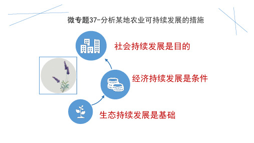2021届高考复习微专题37----分析某地农业可持续发展的措施 课件